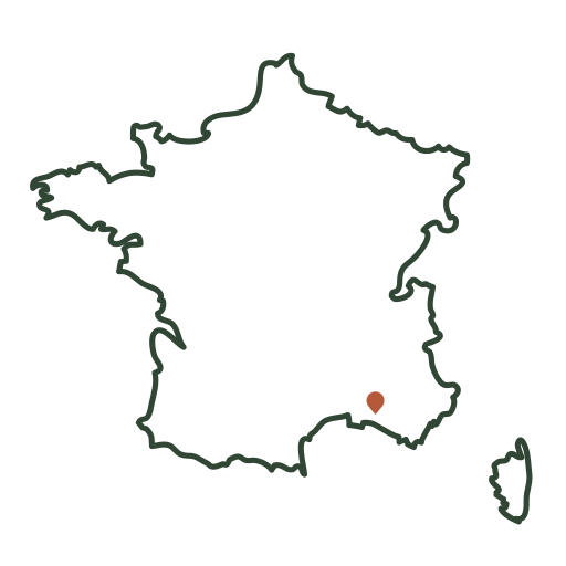 carte-france-footer